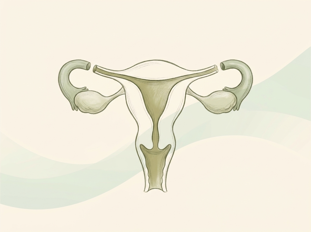 Female Sterilization