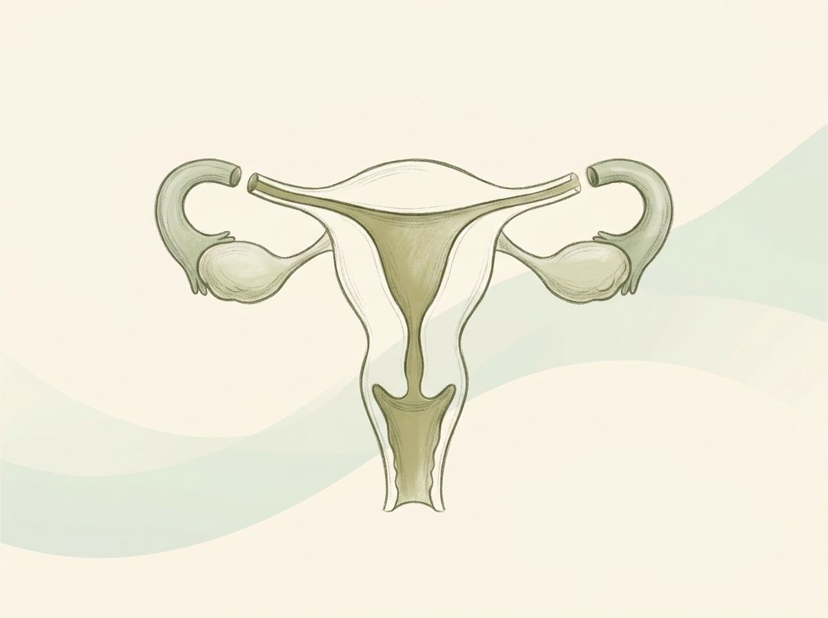 Female Sterilization